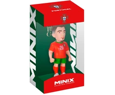MINIX PORTUGAL - FRANCISCO CONCEICAO