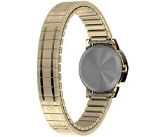 Moteriškas laikrodis TIMEX EASY READER TW2W52400 + BOX