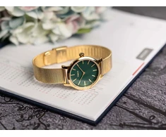 Moteriškas laikrodis TIMEX TW2W87300 + BOX