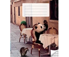 SBS Victor Stationery Ou Sąsiuvinis langeliais, 36 lapai. Vidinių lapų gramatūra – 90 g/m2.