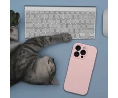 Dėklas Oem Case for iPhone 16 Silicone 2mm compatible with MagSafe powder pink