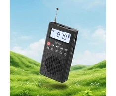Portable radio Hoco HI51 juodas