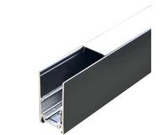 Bėgis bėgių sistemai „Modoled Magnetic“