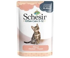 SCHESIR Vištienos filė želė - šlapias maistas kačiukams - 85g