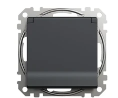 Kištukinis lizdas SCHNEIDER SEDNA DESIGN, antracito sp.,IP44