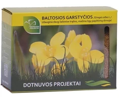 Nežinomas Garstyčių BRACO sėklos, 1kg
