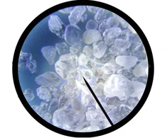 SILICA SAND