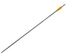 Poe Lang Stiklo pluošto strėlė 30' (VD-065K)