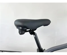 Stucchi Electric bicycle Succhi. 54 cm. 28". 250 W