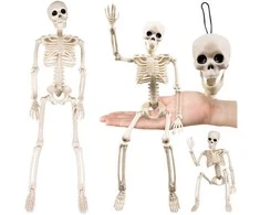 Skeletas - dekoracija 40cm Ruhhy 26027