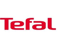 Tefal GV9920 lygintuvas