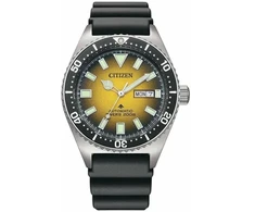 Vyriškas laikrodis Citizen NY0120-01X