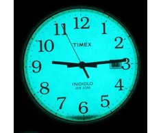 Vyriškas laikrodis TIMEX EASY READER TW2P75600 + BOX