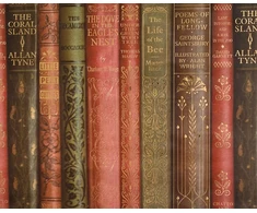 Wrapping paper Decoris Books. 70 cm x 200 cm