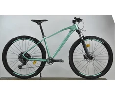 WTS Bicycle mountain. 29 ". 15" frame. žalias col.
