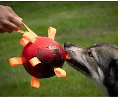 Dog Comets Hypernova didelis kamuolys šunims, žalias, 15 cm