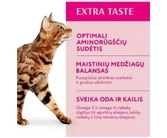Optimeal Adult sausas maistas katėms su veršiena, 1.5kg