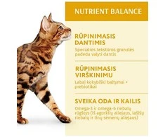 Optimeal Adult sausas maistas katėms su vištiena, 1.5kg