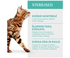 Optimeal Adult Sterilised sausas maistas katėms su kalakutiena, 1.5kg
