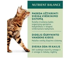 Optimeal konservai katėms su triušiena morkų drebučiuose, 85 g