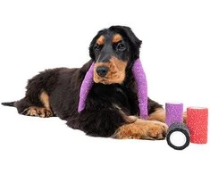 Show Tech Glitter elastinis tvarstis šunims, juodas, 4.5m x 7.5cm