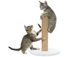 TRIXIE Junior draskyklė stulpas, 42cm, mėtų
