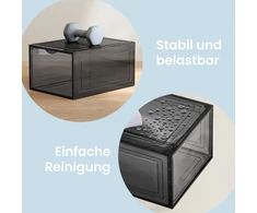 Songmics Batų dėžės, plastikinės, permatomos