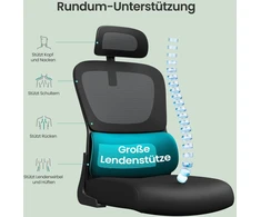 Songmics Ergonomiška biuro kėdė su tinkliniu atlošu ir porankiais