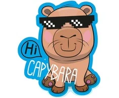 Capybara 3D cushion