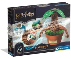 Clementoni Žaislai CLE Harry Potter Mandragora Terrarium kit 19458