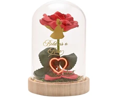 Widdop Co Disney Princess Belle florals in a clonche with neon light