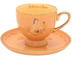 Widdop Co Disney Princess Belle tea cup &amp; saucer
