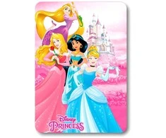 Disney Princess polar blanket