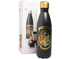 Nerūdijančio plieno gertuvė ERIK Harry Potter Hogwarts, 500 ml