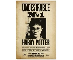 Plakatas ERIK Harry Potter Undesirable Number 1 poster