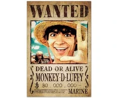 Plakatas ERIK One Piece Wanted Monkey D. Luffy poster
