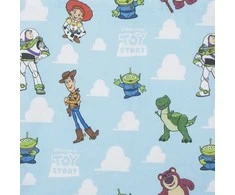 CERDÁ Disney Pixar Toy Story assorted shopping bag