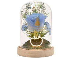 Widdop Co Disney Princess Cinderella florals in a clonche with neon light