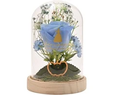 Widdop Co Disney Princess Cinderella florals in a clonche with neon light