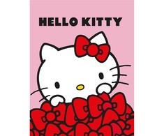 Sanrio Hello Kitty Flannel blanket 130x160cm