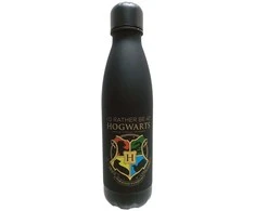 Kids Licensing Haris Poterio nerūdijančio plieno butelis 500 ml