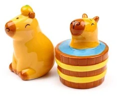 Puckator Capybara Salt and Pepper Shaker Set
