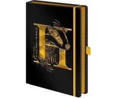 Pyramid Piramidė HARRY POTTER UŽRAŠAI ZESZYT HUFFLEPUFF 120k