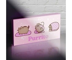 Pyramid Pusheen light up canvas