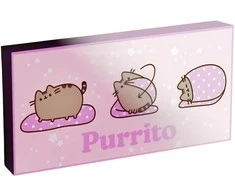 Pyramid Pusheen light up canvas