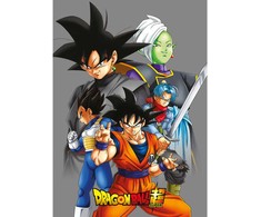 Toei Animation Dragon Ball Super polar blanket