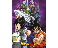 Toei Animation Dragon Ball Super polar blanket