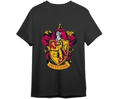Warner Bros Discovery Harry Potter Gryffindor adult t-shirt