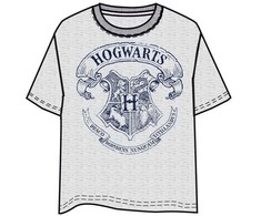 Warner Bros Discovery Harry Potter Hogwarts adult t-shirt