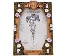 Widdop Co Harry Potter Herbology photo frame